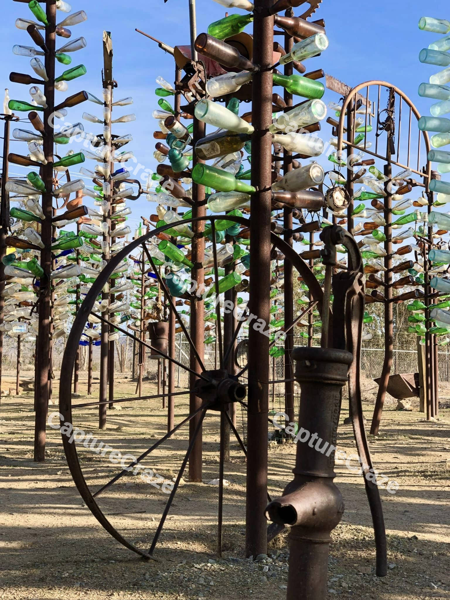 Elmer's Bottle Tree Forest